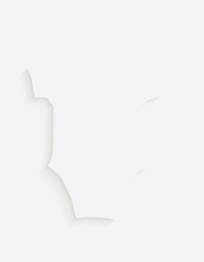 Back_2_c_4.jpg